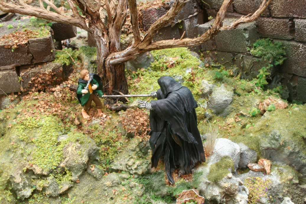 frodo fighting a nazgul