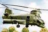 Chinook