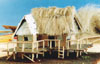 Building with a thatched main section and a corrugated iron 'wing' under  construction - note the metal crosshatched foil on the walls