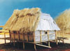 Building with a thatched main section and a corrugated iron 'wing' under  construction - note the metal crosshatched foil on the walls