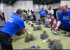 Salute 2015 on the day